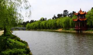 日照海滨国家森林公园 日照海滨国家森林公园